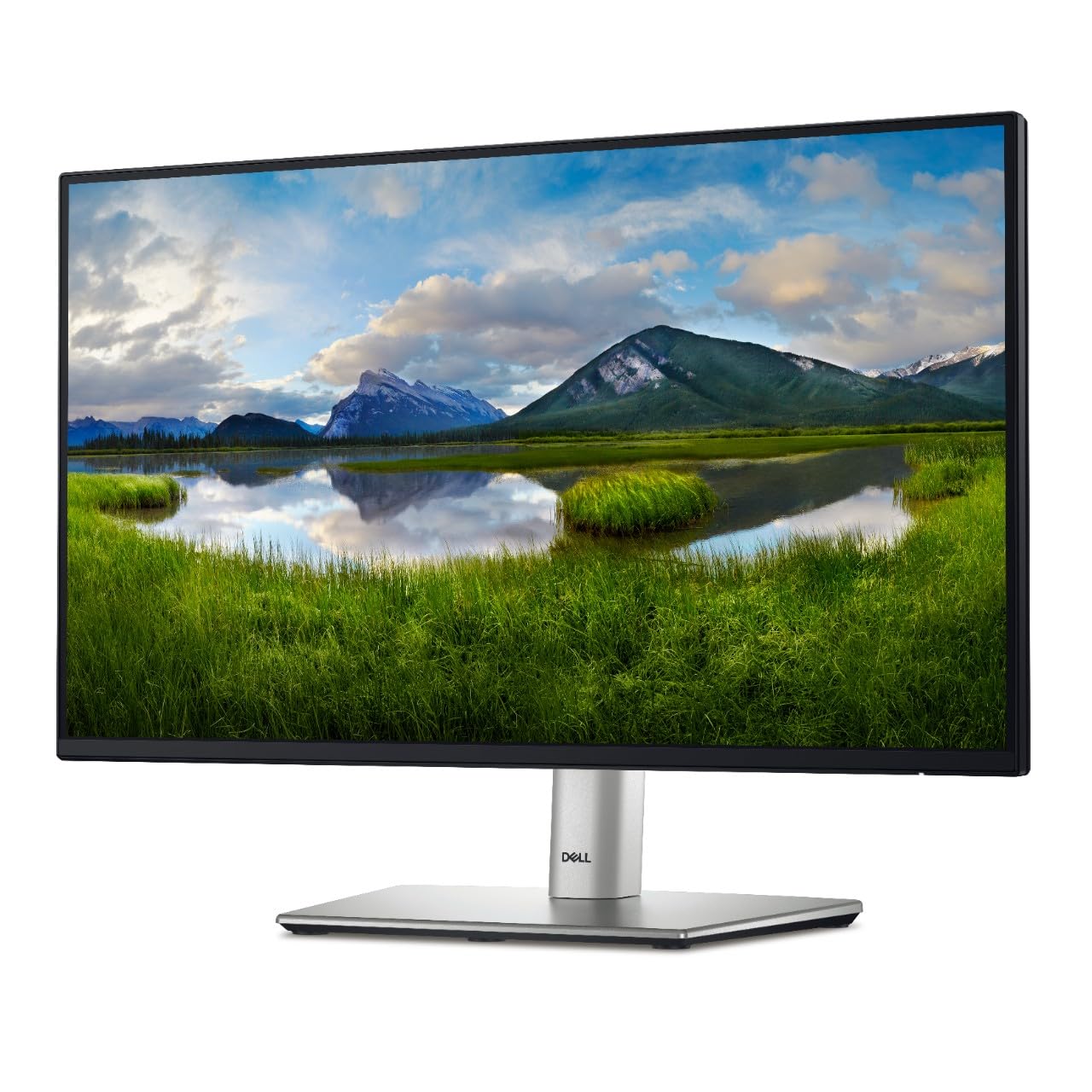 Dell 22 Monitor P2225H product image