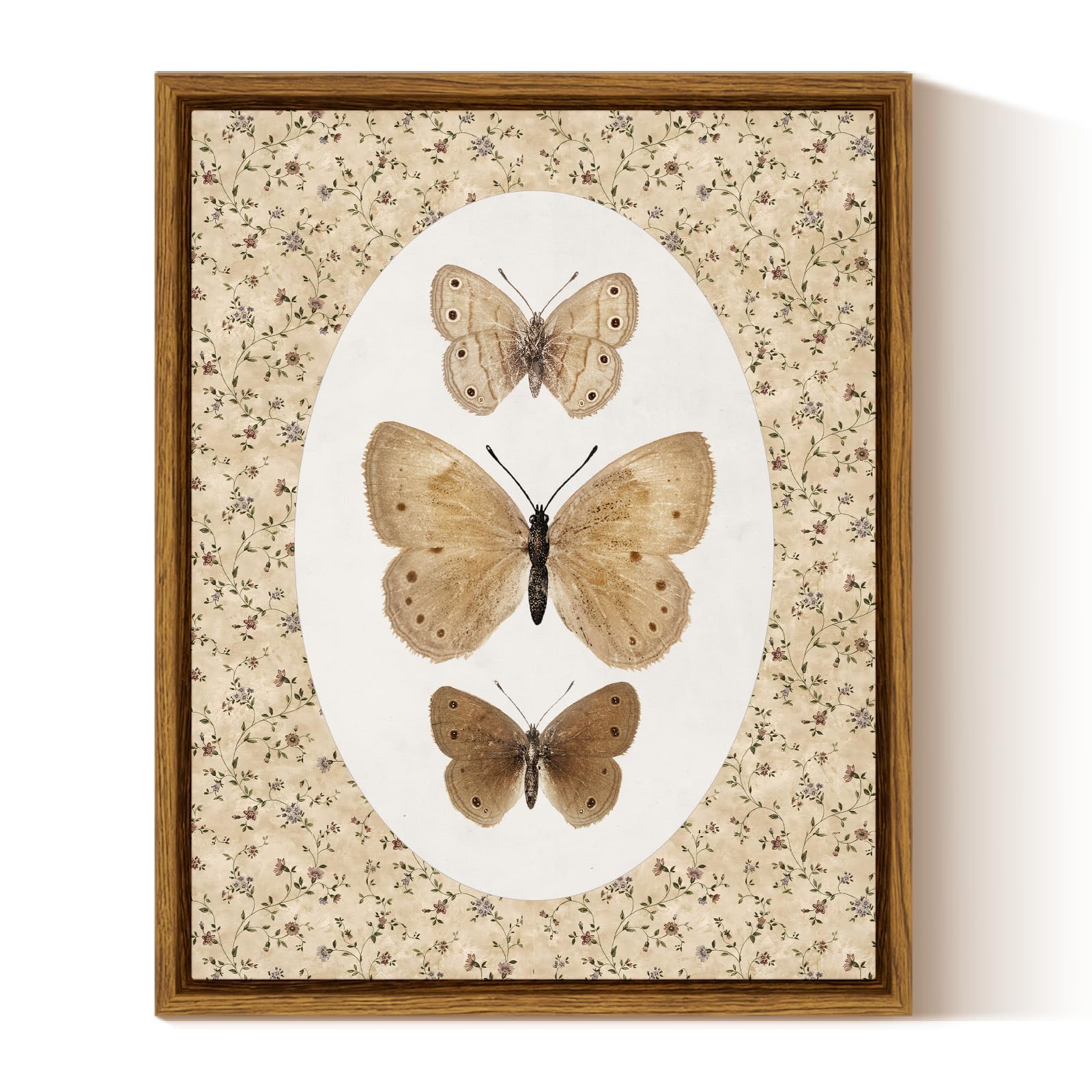 InSimSea Framed Canvas Wall Art, Vintage Butterfly Specimen Art Print, Neutral Moths and Floral Border, French Country Cottagecore Aesthetic, Botanical Illustration for Bedroom Nursery 10" L x 8" W product image
